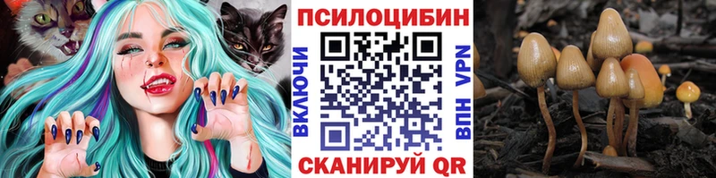 наркотики  Никольск  Галлюциногенные грибы Magic Shrooms 