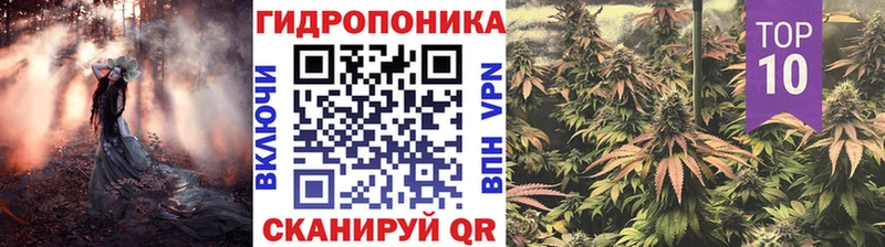Шишки марихуана Amnesia Никольск